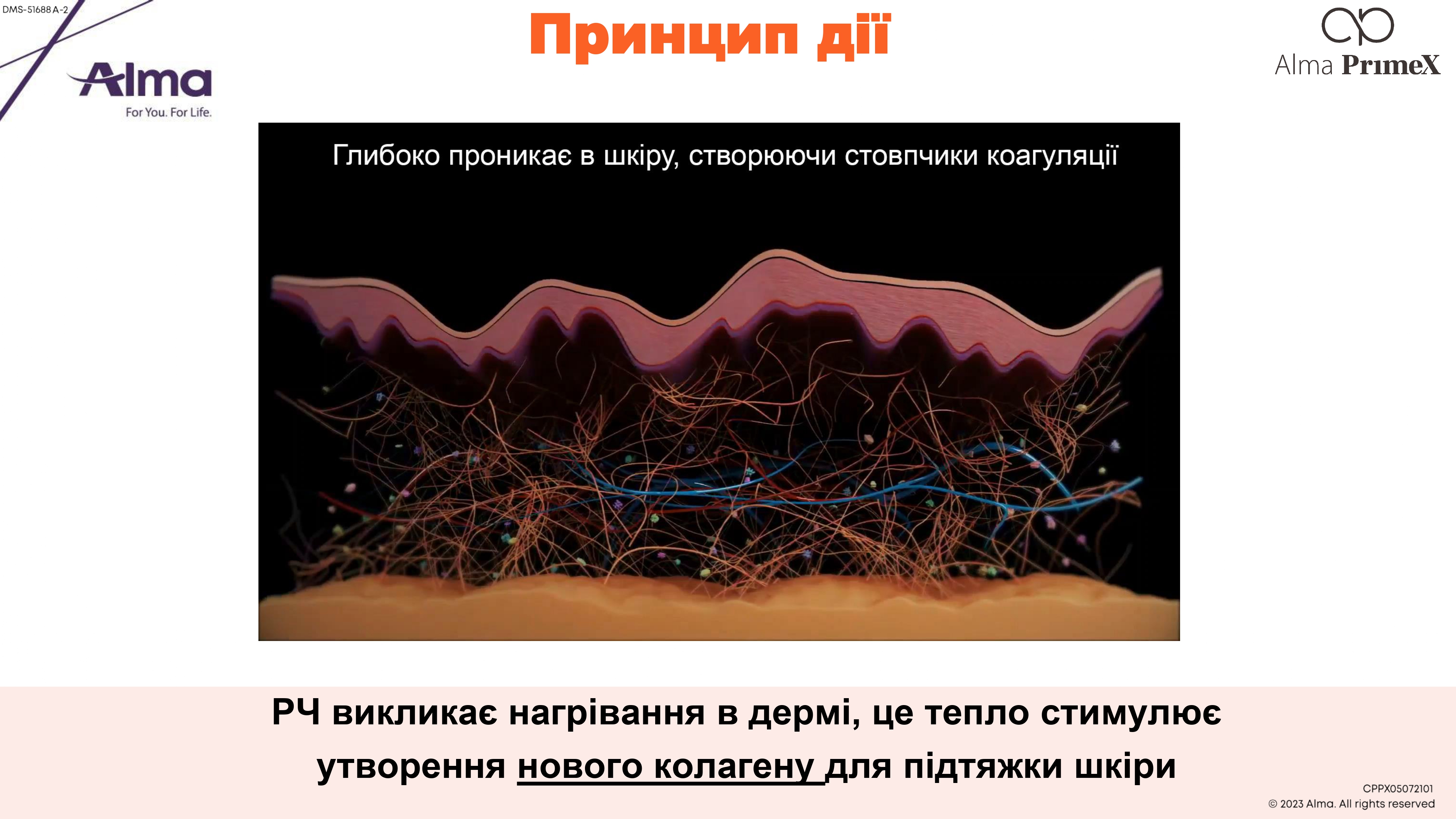 main-slider-img