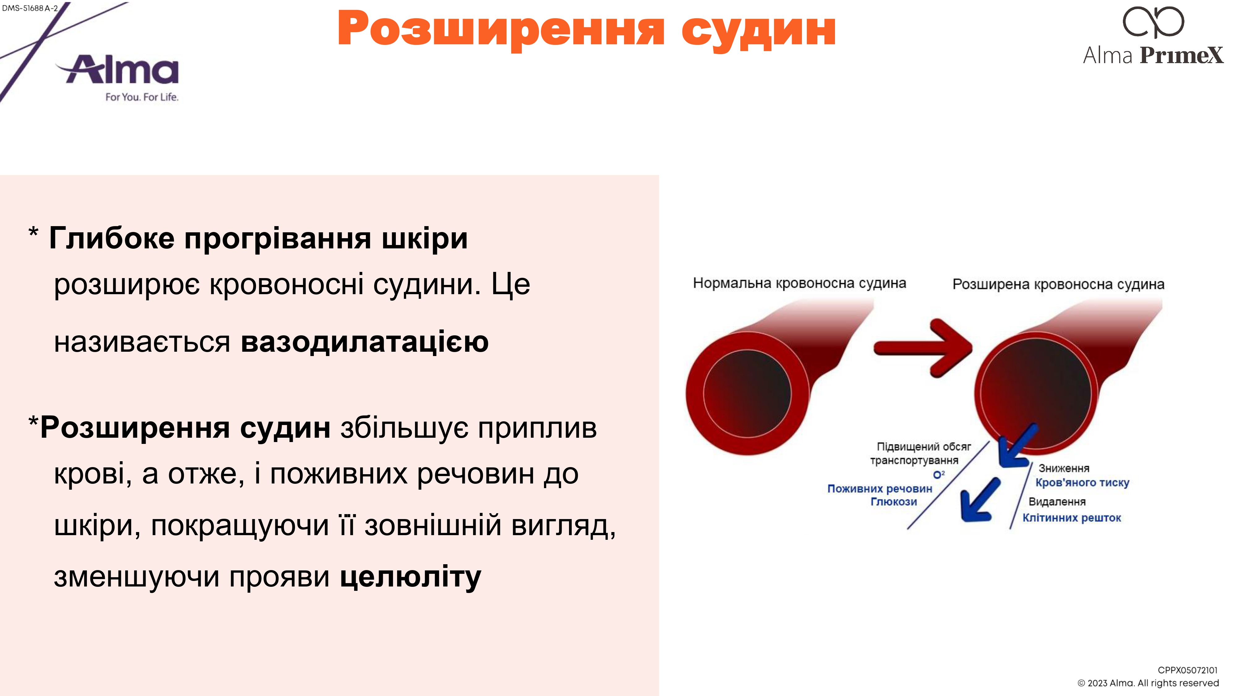 main-slider-img